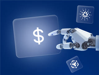 Skvegrorku secure platform for trading with bank-level security